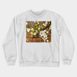 spring motif flower, plum flowers Crewneck Sweatshirt